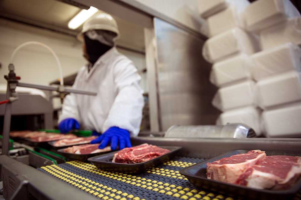 Food Process Industry Scale Installation & Repairs in Michigan - AdobeStock_87251591