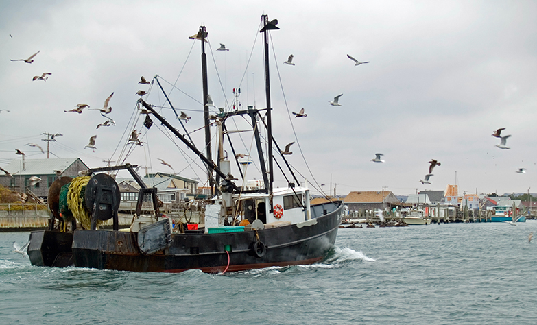 Commercial Fishing Scale Installation & Repair Service in Michigan - AdobeStock_9369932
